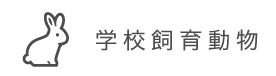 学校飼育動物